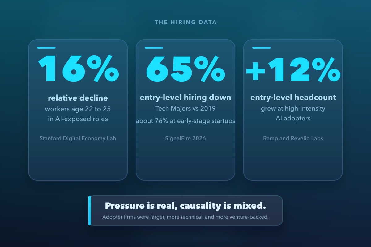 Stat card comparing Stanford's 16% relative decline for young workers in AI-exposed occupations, SignalFire's entry-level hiring decline, and Ramp/Revelio's AI-adopter headcount growth.